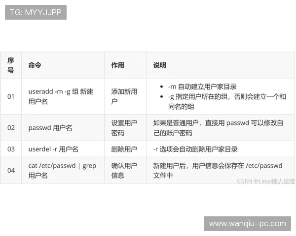 玩球波胆历史数据查询避坑指南高频玩法防骗攻略